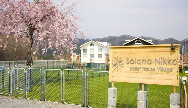 Solana Nikko