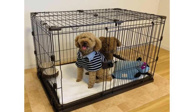 Staying with your dog is OK With kitchen and wash/Fukuoka Fukuoka