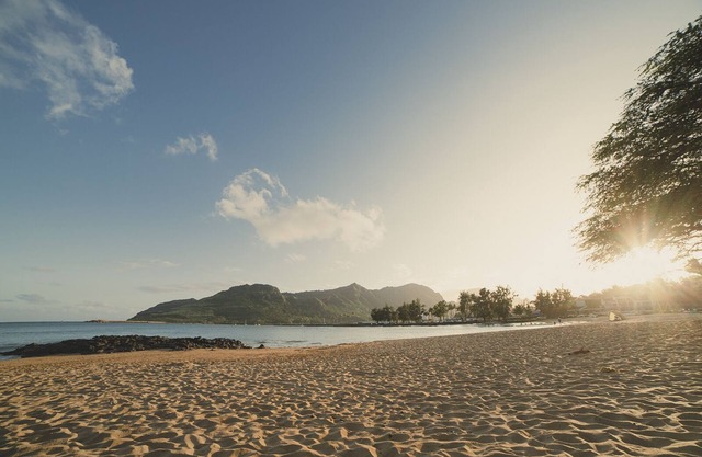 Banyan Harbor Resort 