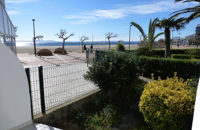 Inmosantos Oasis 