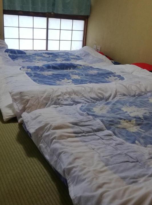 Ogano-machi Hotel | Suijin Hotel - Vacation STAY 38314v