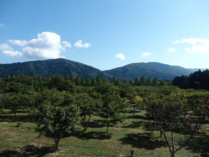 Photo of Outdoor in Mikata-gun