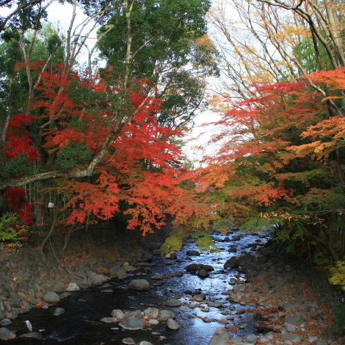 Photo of Others in Shuzenji