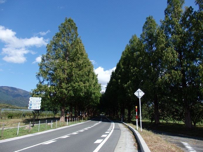 Photo of Others in Mikata-gun