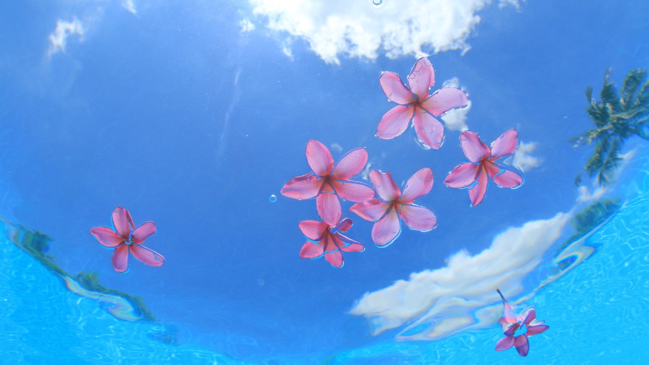 Photo of Outdoor in Kadena-cho