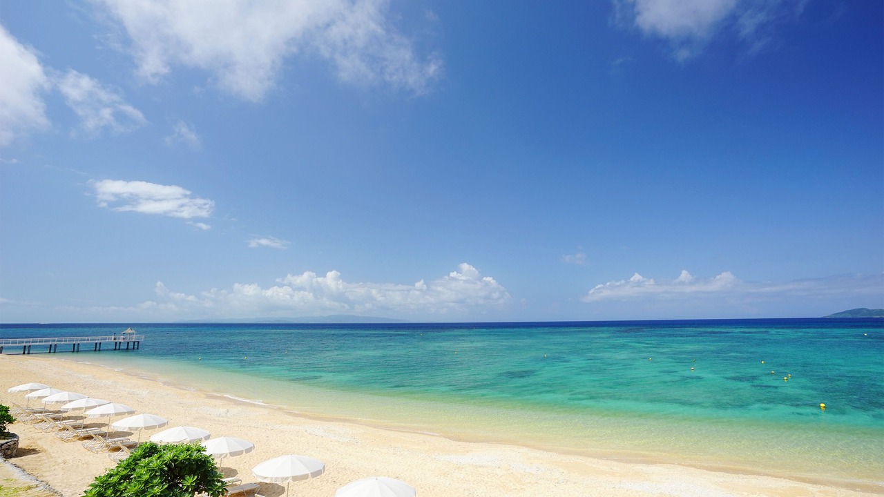Photo of Others in Taketomi-jima Taketomi-cho