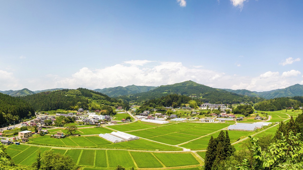 Photo of Others in Shizugawa