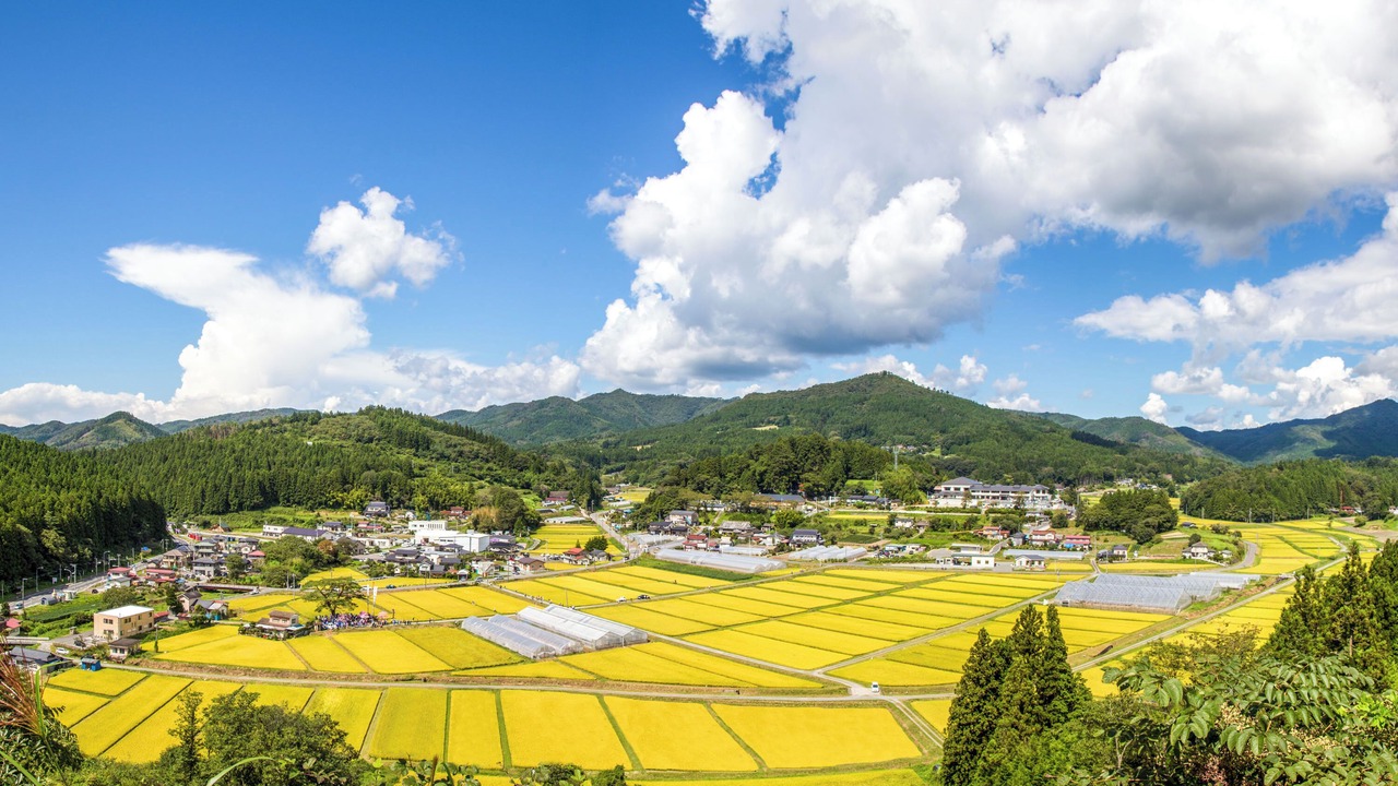 Photo of Others in Shizugawa