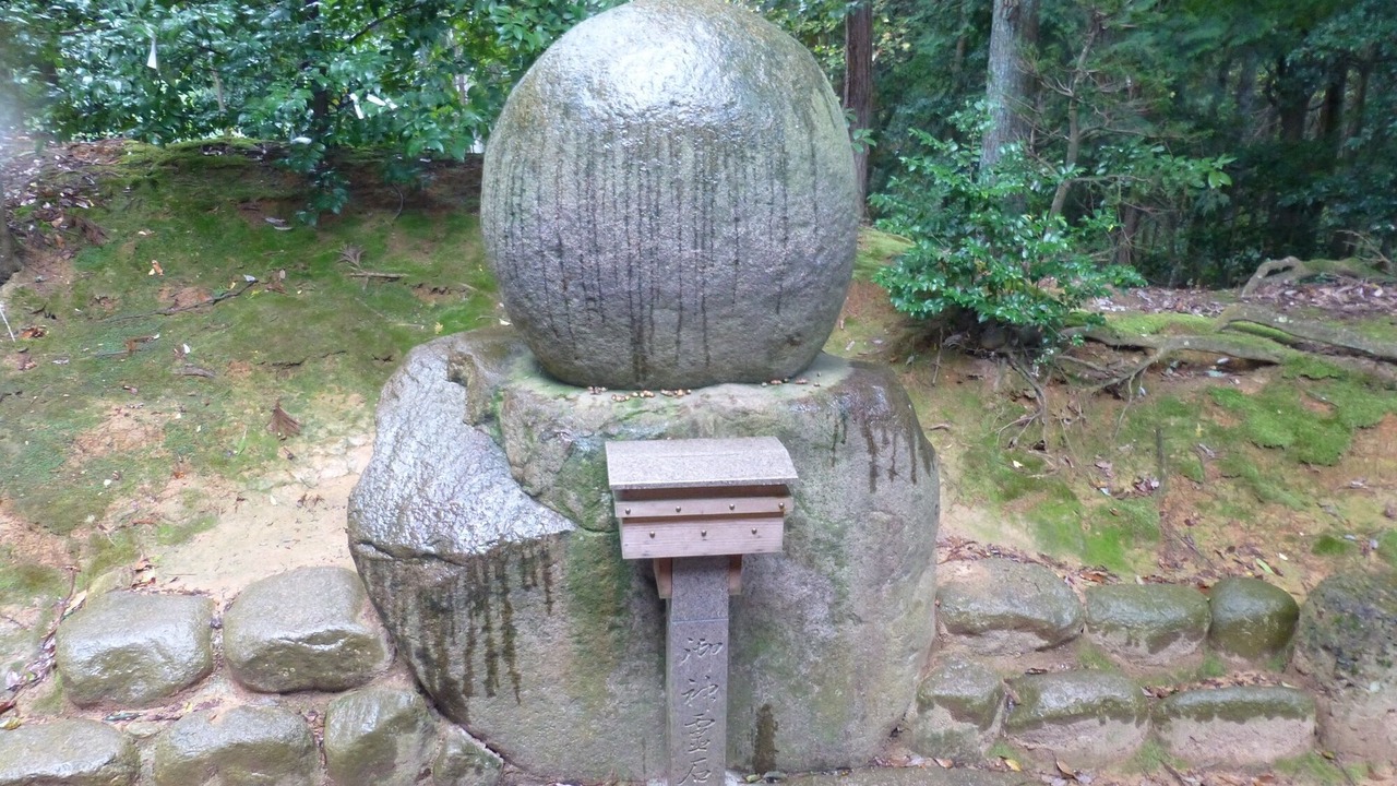 Photo of Outdoor in Agano
