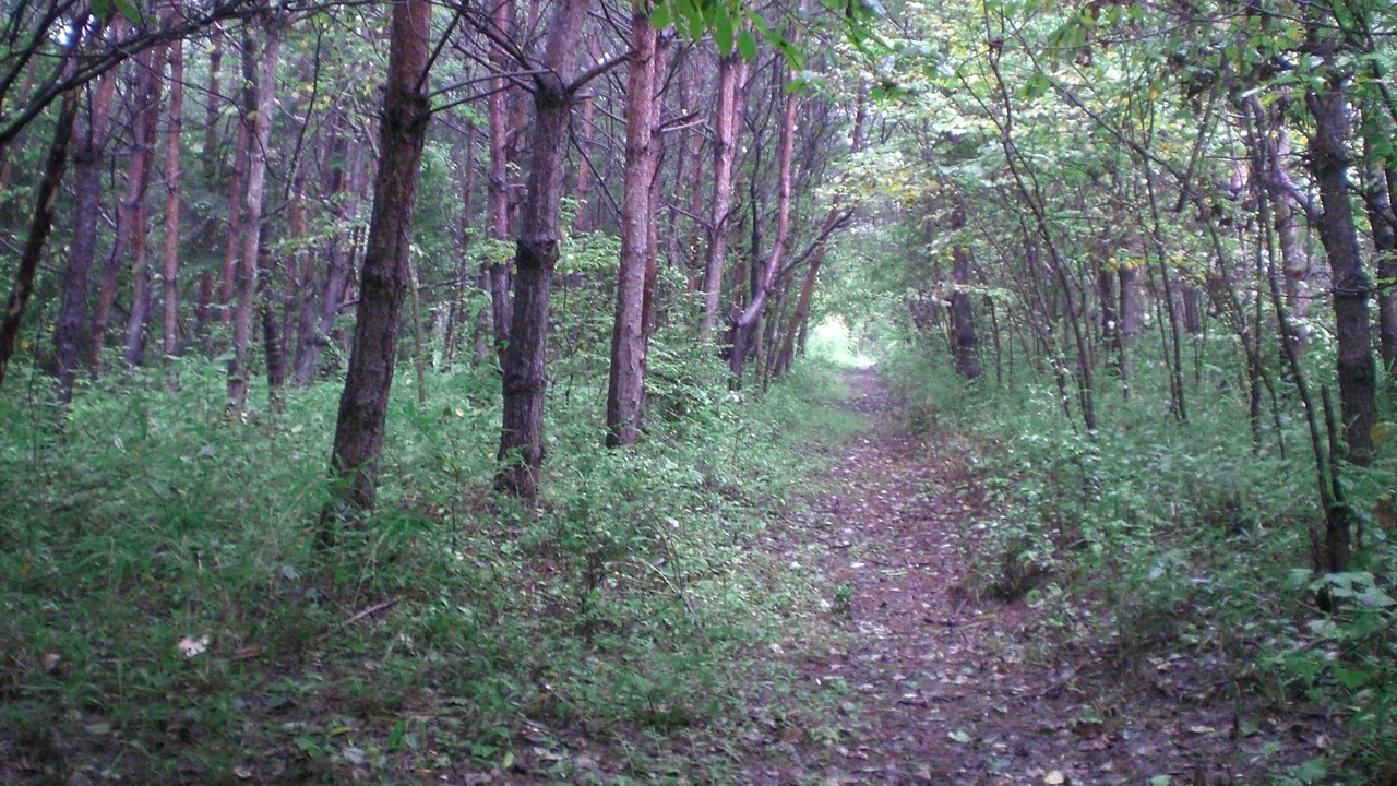 Photo of Outdoor in Nakagawa