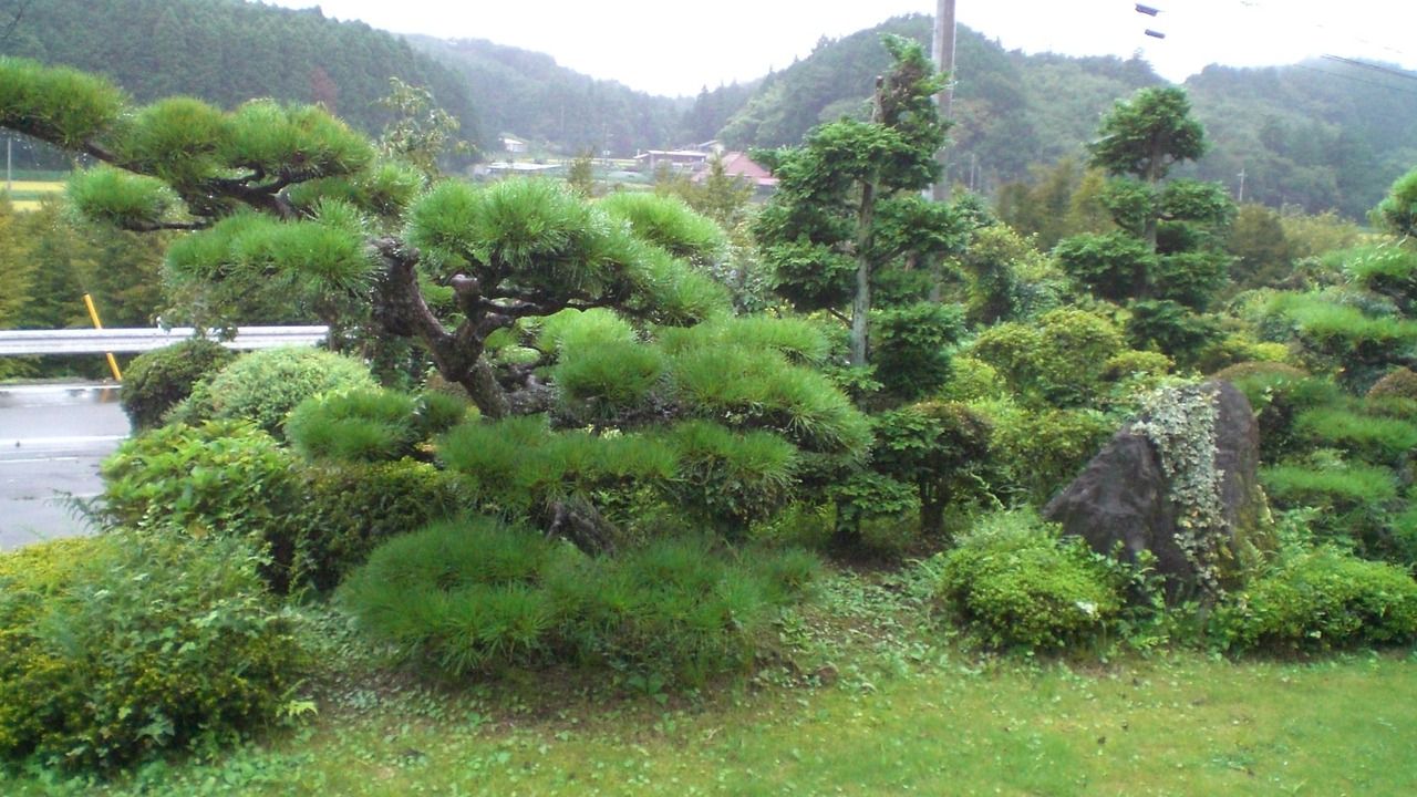 Photo of Outdoor in Nakagawa