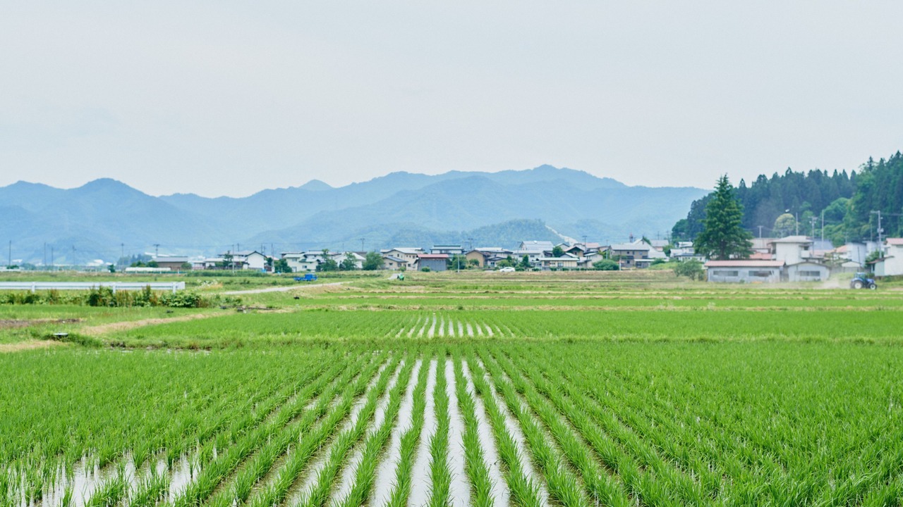 Photo of Outdoor in Kaminoyama