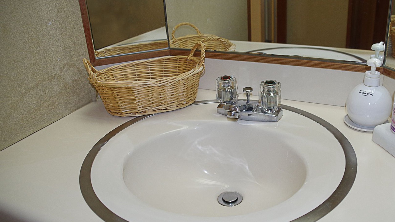 Photo of Bathroom in Fukushima