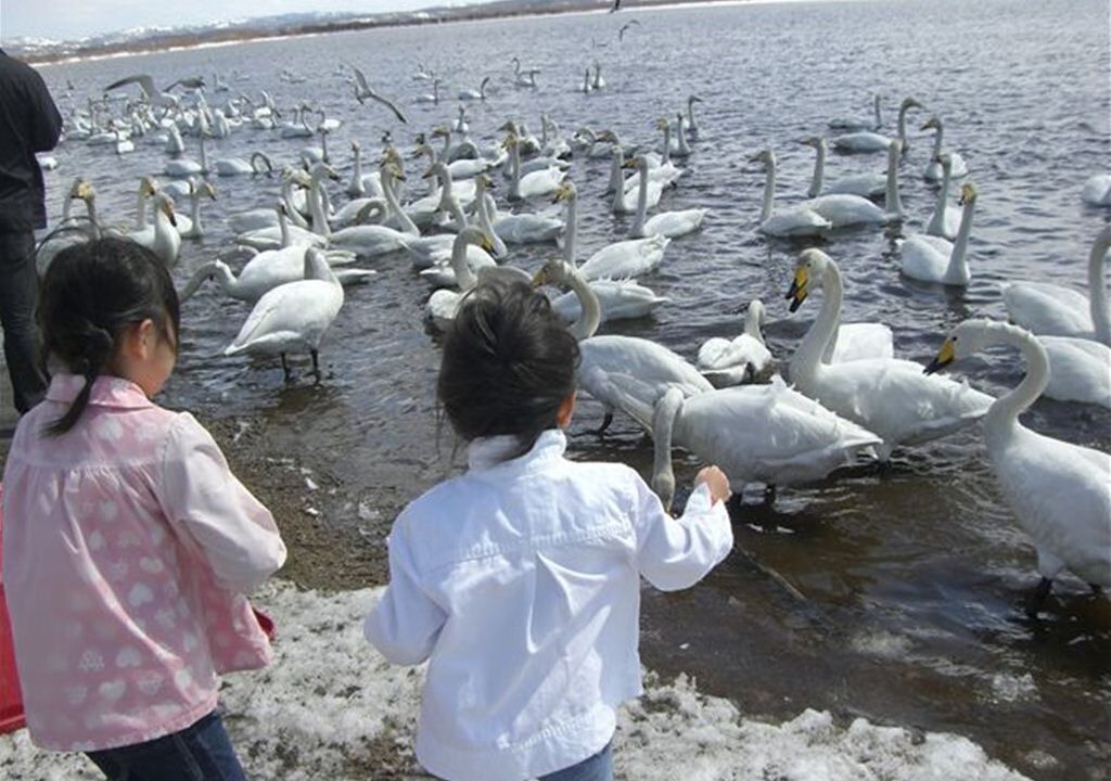 Photo of Others in Wakkanai