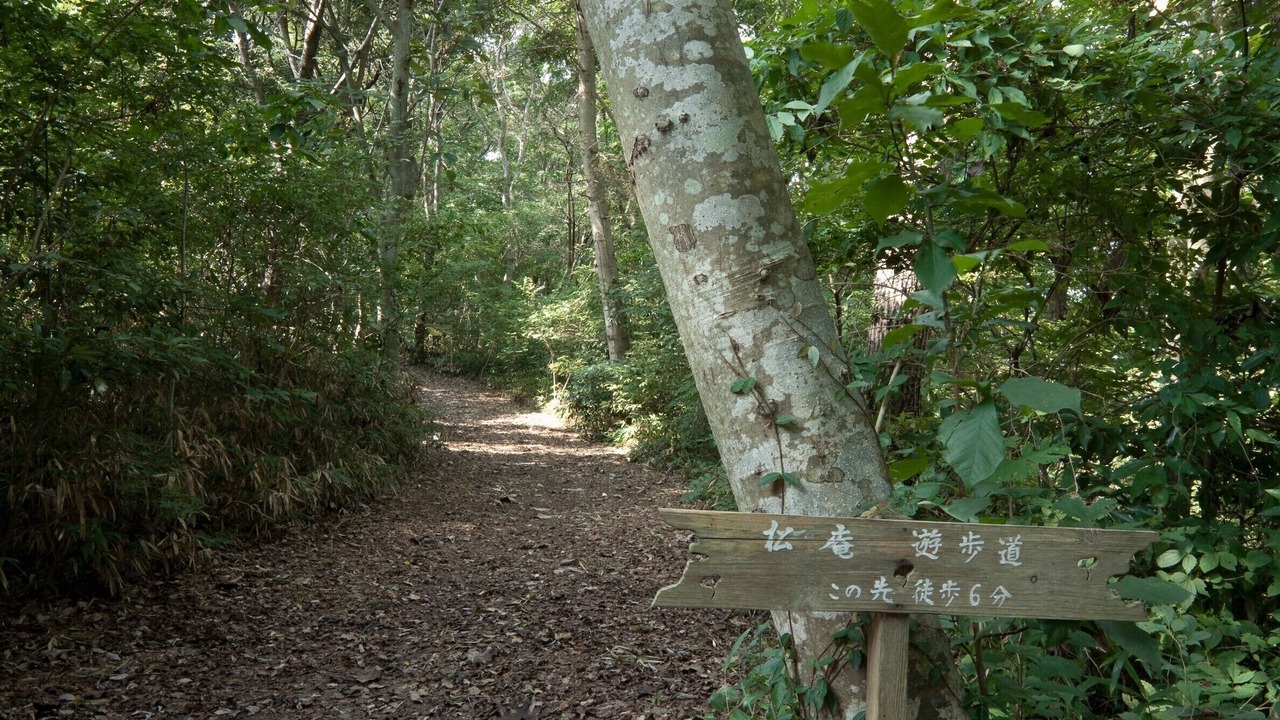 Photo of Others in Matsushima