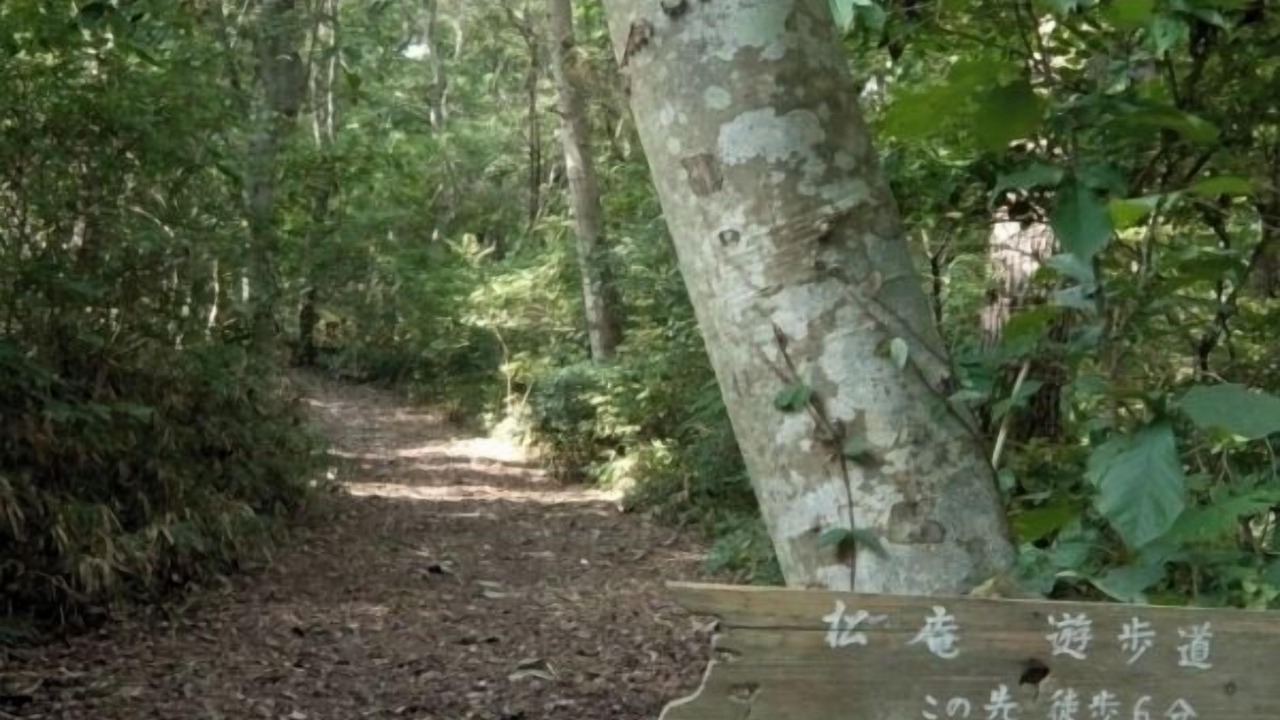Photo of Others in Matsushima