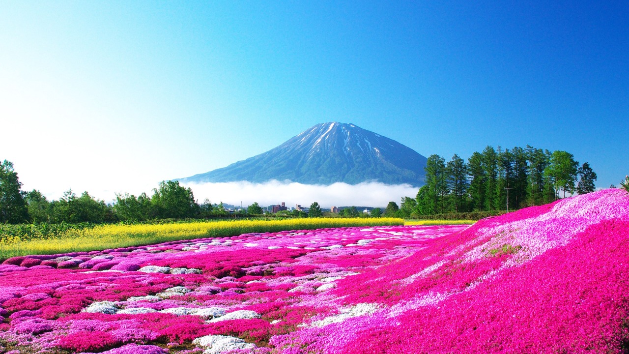 Photo of Outdoor in Hirafu