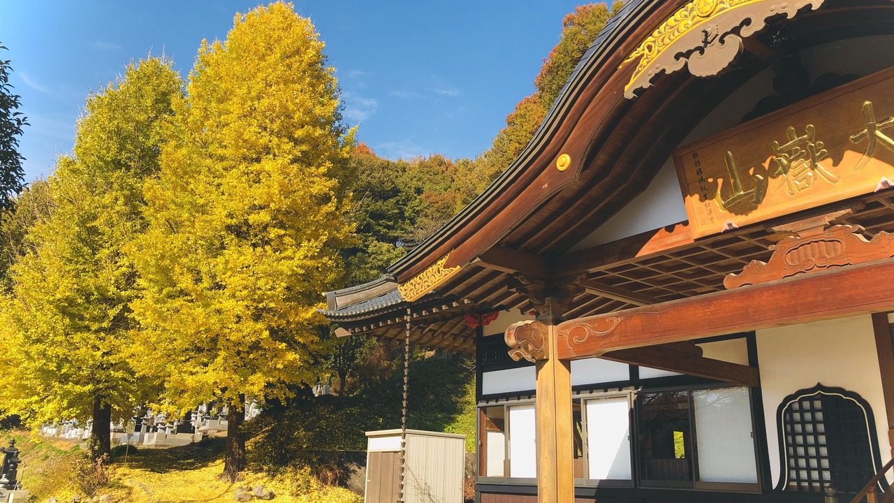 Photo of Outdoor in Takasaki