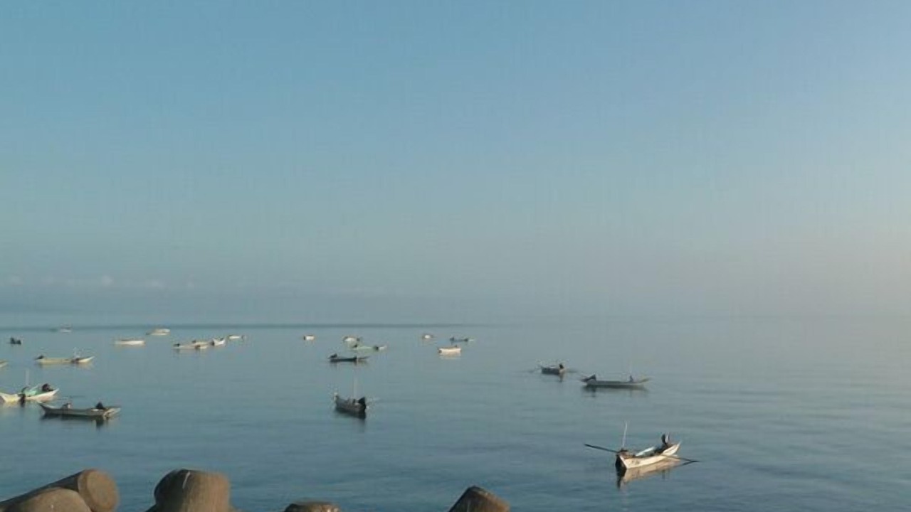 Photo of Others in Rishirifuji-cho