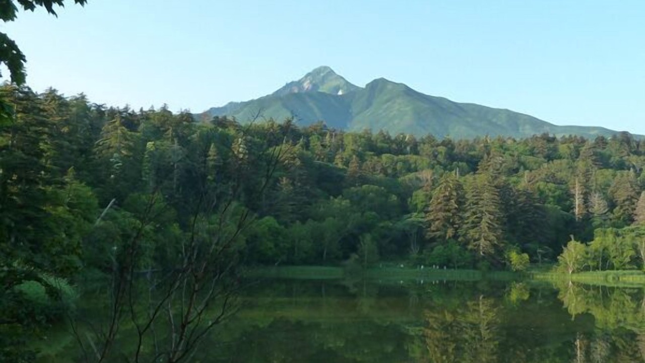 Photo of Others in Rishirifuji-cho