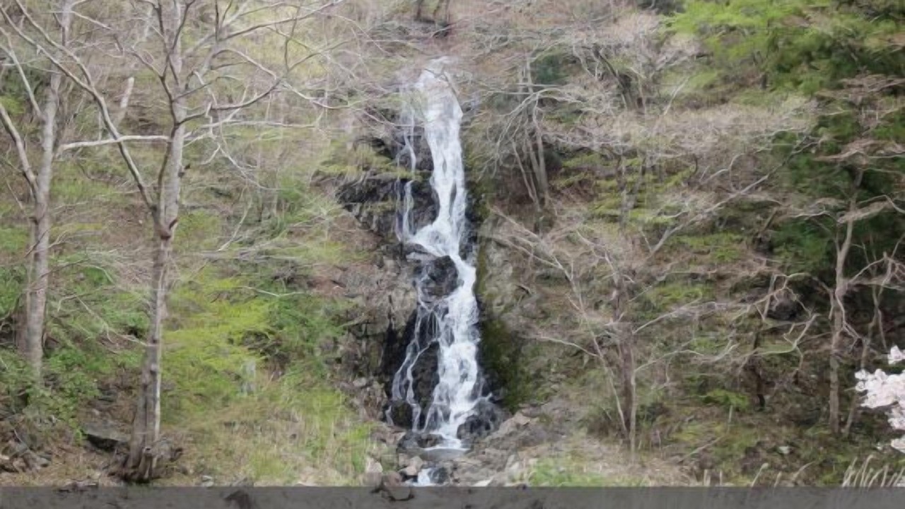 Photo of Others in Rikuzentakata