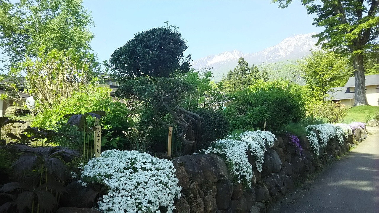 Photo of Others in Akakura