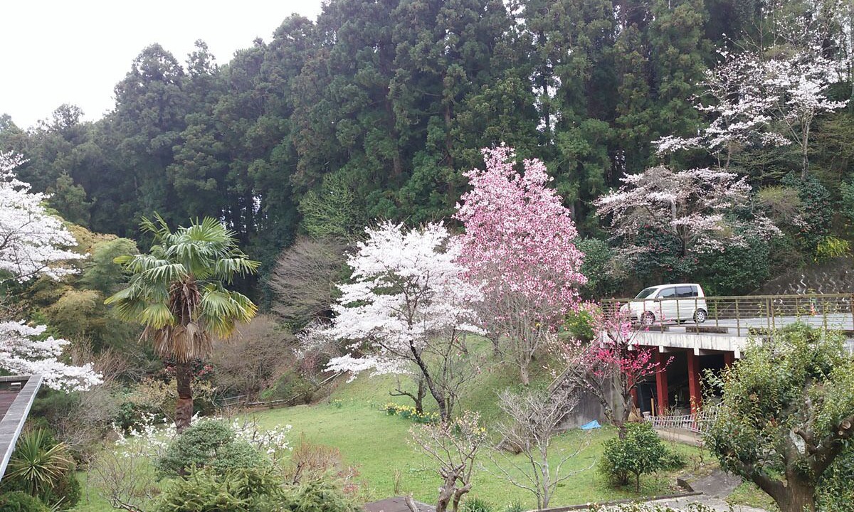 Photo of Outdoor in Iwaki