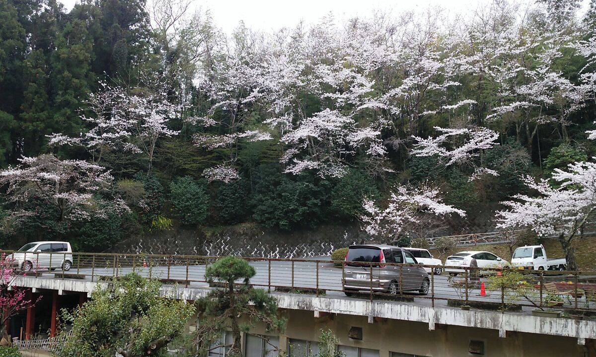 Photo of Others in Iwaki