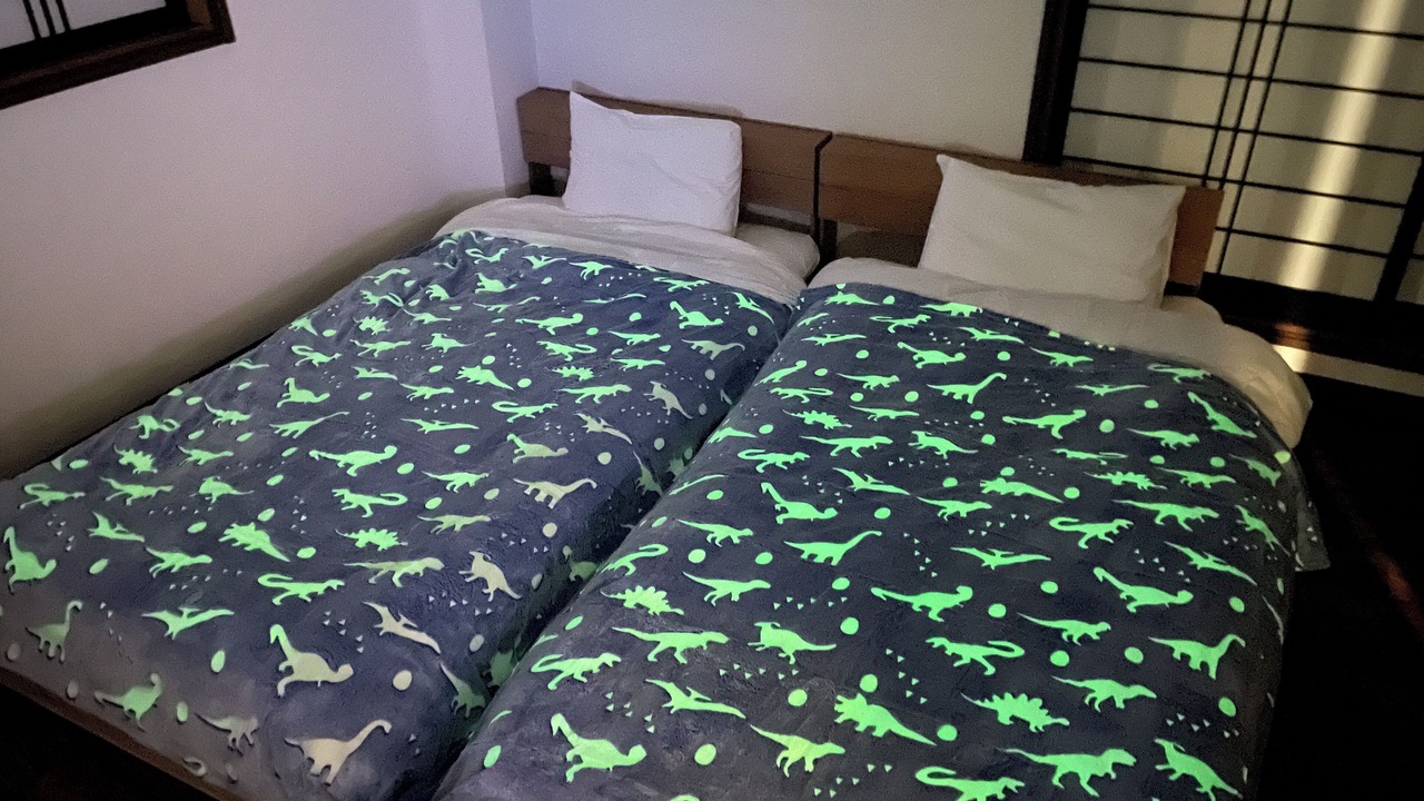 Photo of Bedroom in Katsuyama