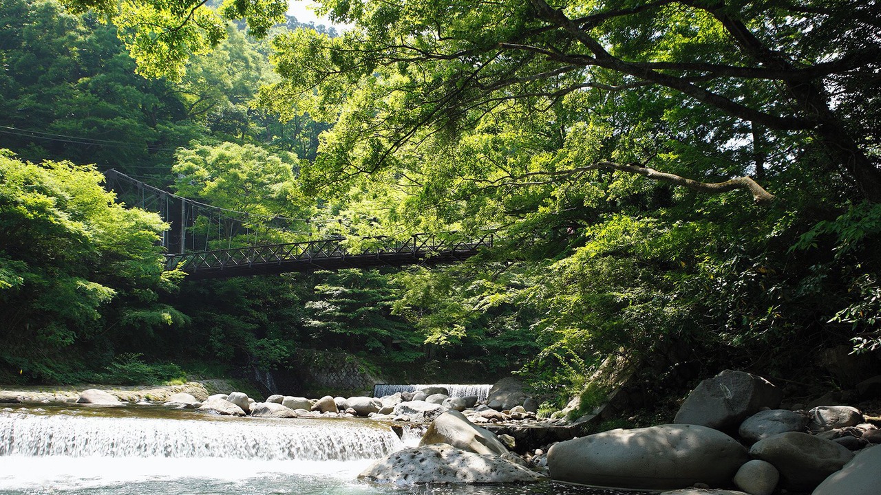 Photo of Others in Tounosawa