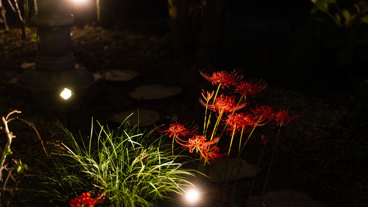 Photo of Outdoor in Kani