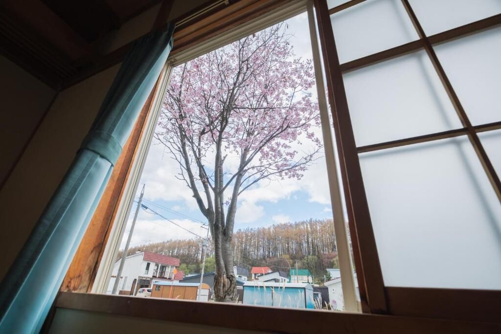 Photo of Others in Asahikawa