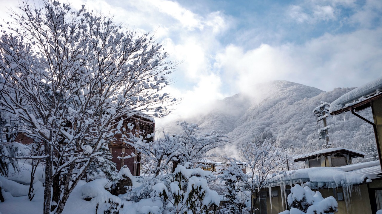 Photo of Others in Takayama