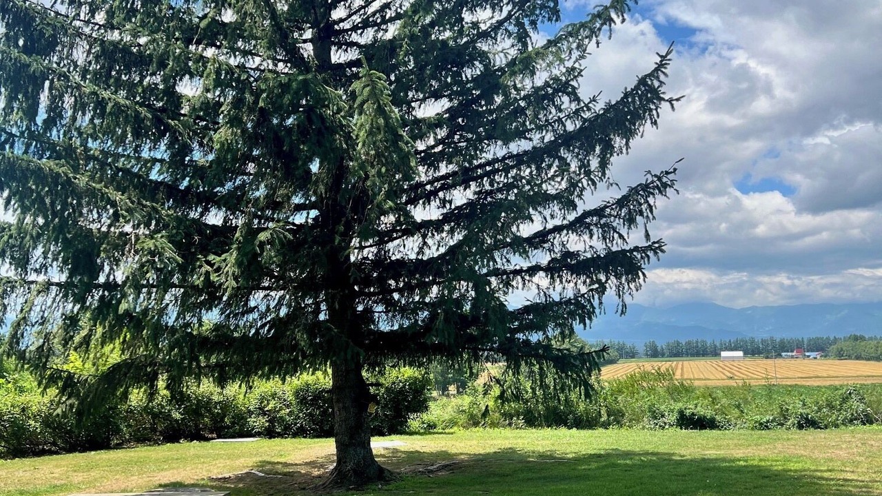 Photo of Others in Abashiri