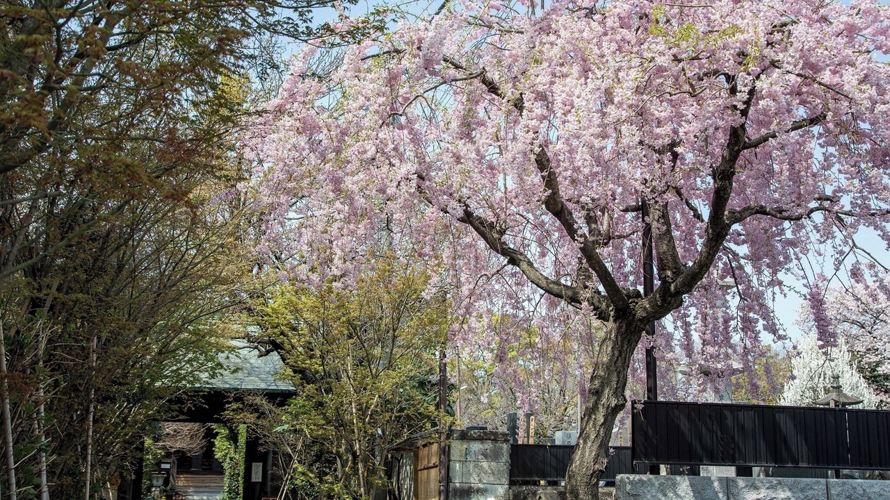 Photo of Outdoor in Utsunomiya