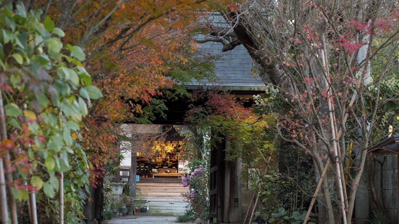 Photo of Outdoor in Utsunomiya