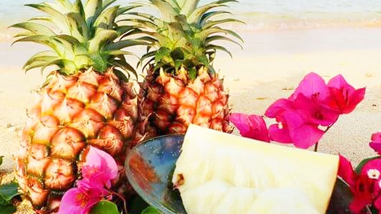 Photo of Others in Iriomote-jima Taketomi-cho