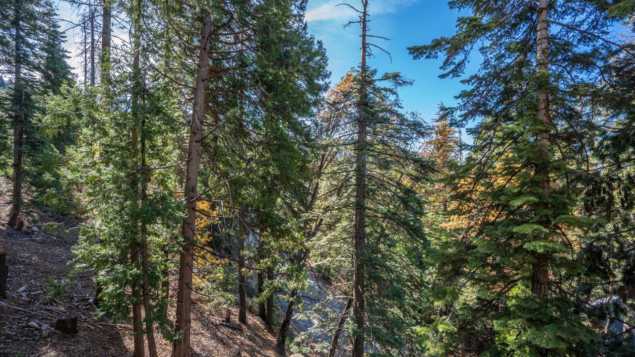 Photo of Outdoor in Yosemite West