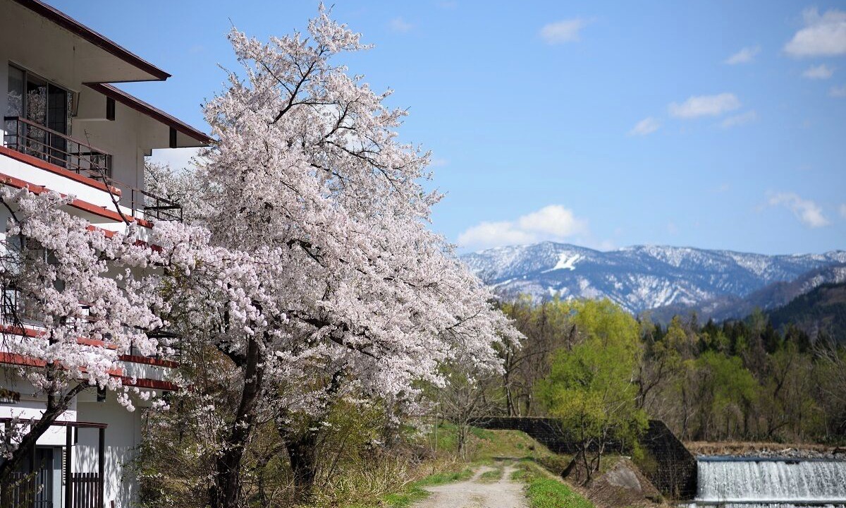 Photo of Outdoor in Onogawa Onsen
