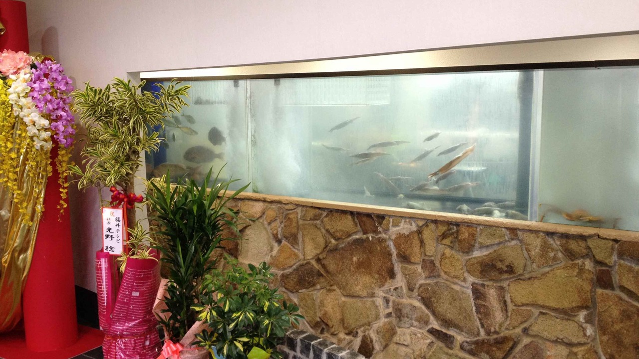 Photo of Others in Sakai