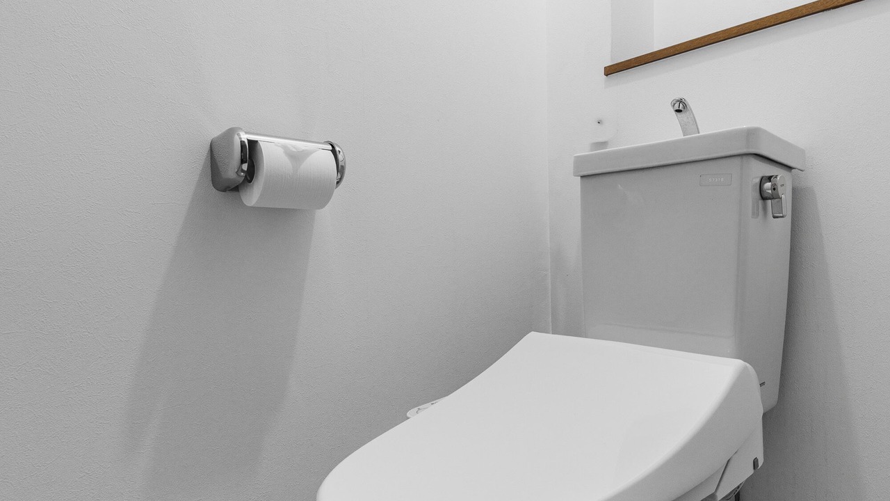 Photo of Bathroom in Naebocho