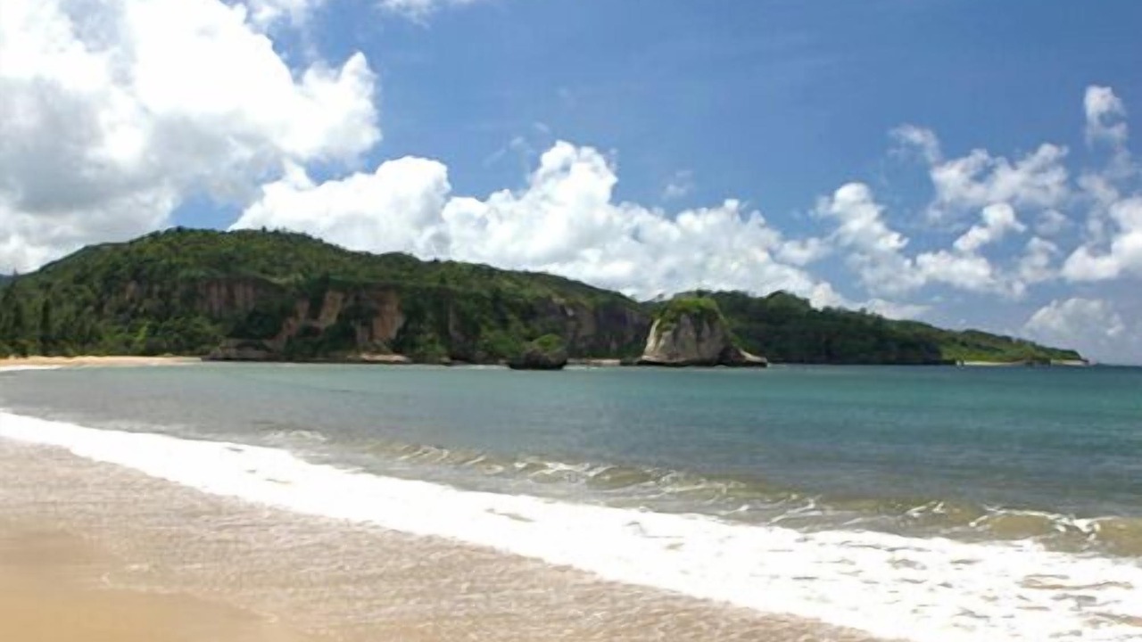 Photo of Others in Iriomote-jima Taketomi-cho