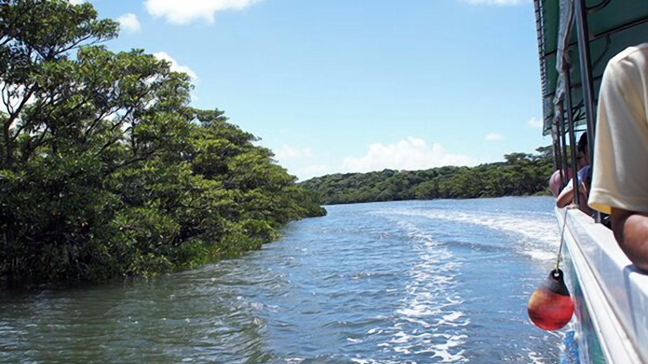 Photo of Others in Iriomote-jima Taketomi-cho