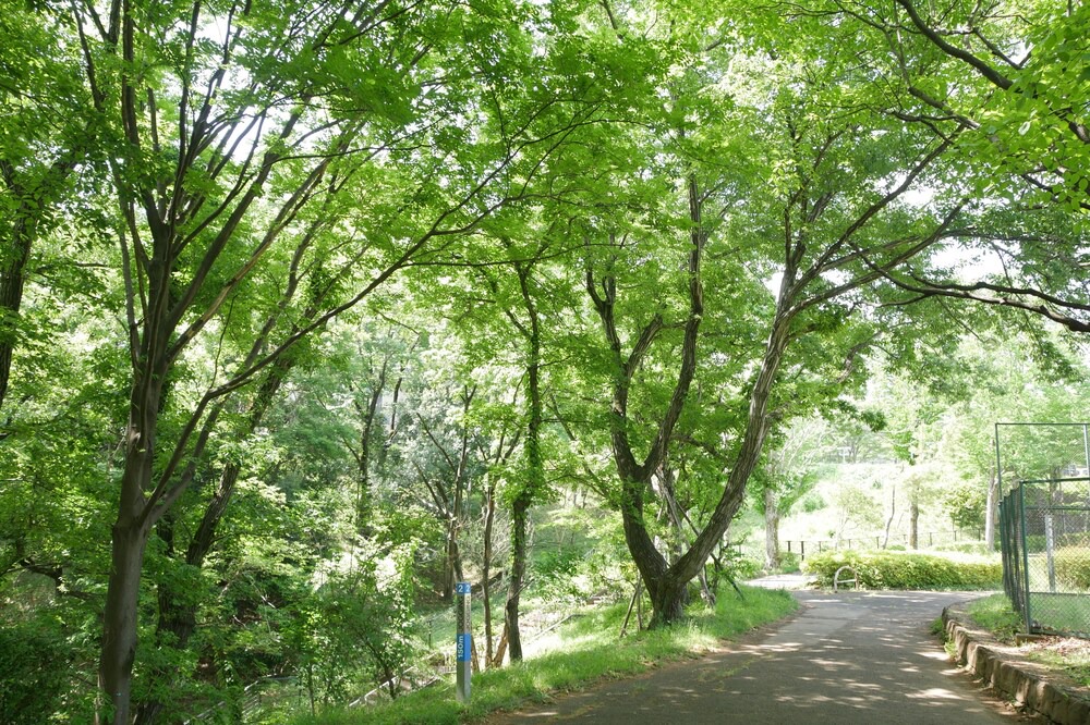 Photo of Outdoor in Tama