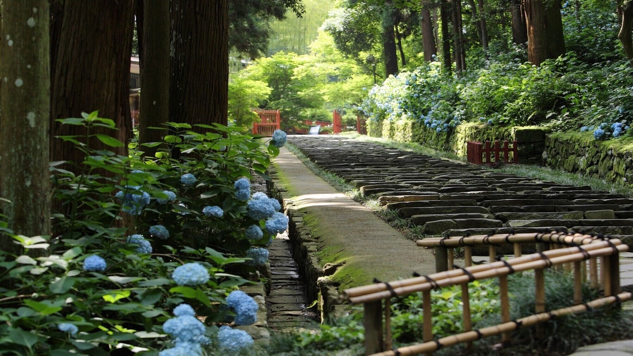 Photo of Outdoor in Onagawa