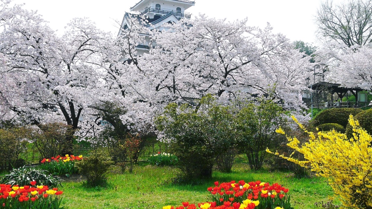 Photo of Others in Kaminoyama