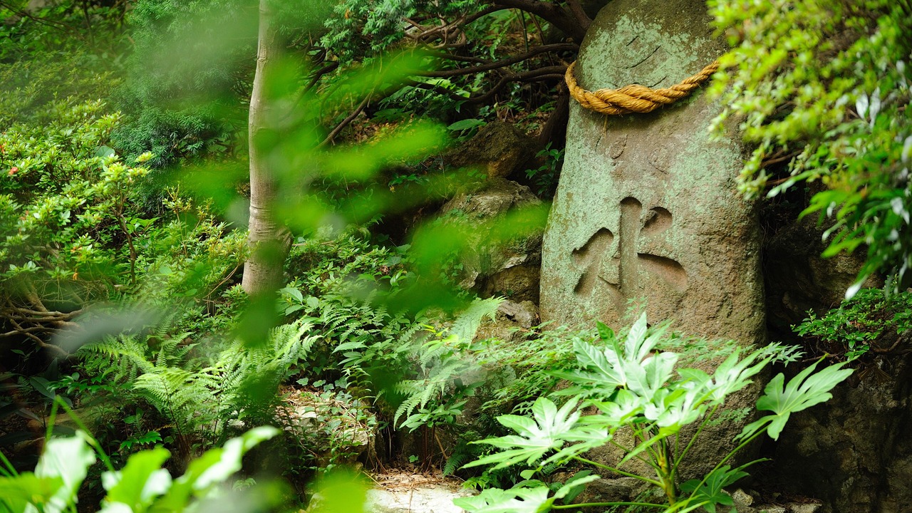 Photo of Outdoor in Kaminoyama