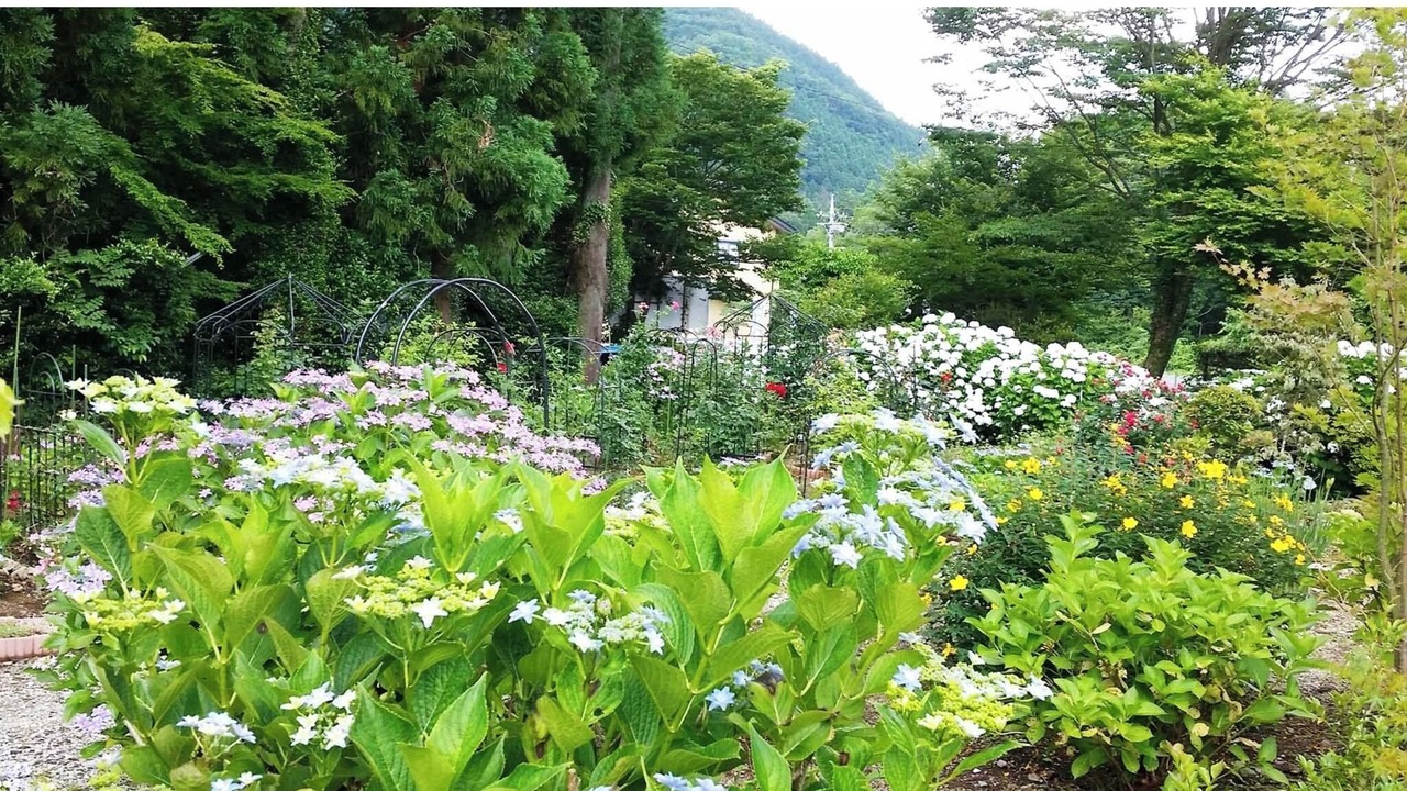 Photo of Outdoor in Nikko