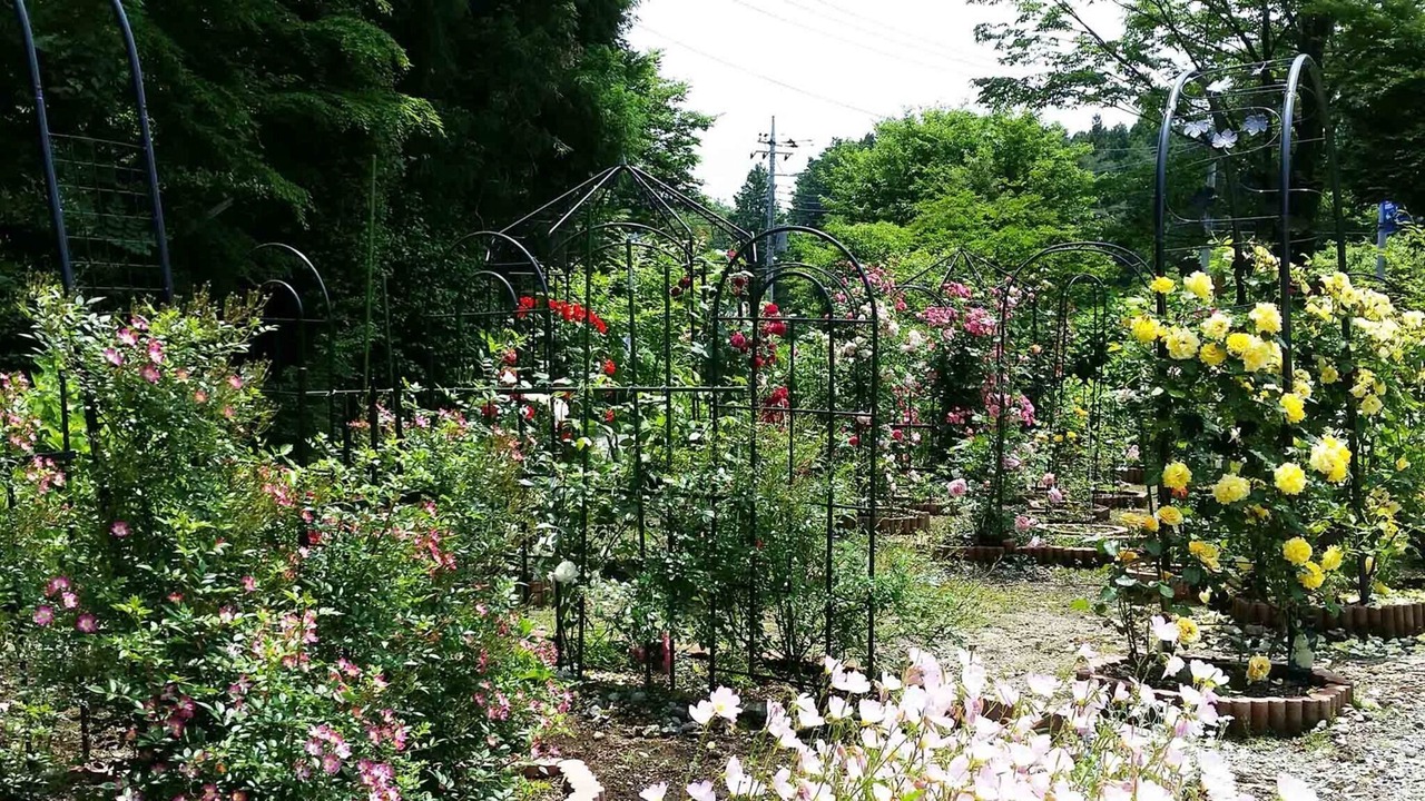 Photo of Outdoor in Nikko