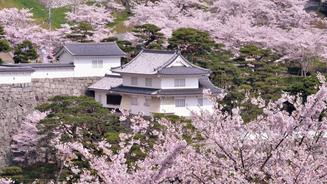 Photo of Outdoor in Nihommatsu